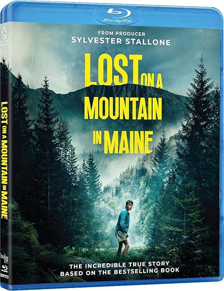 В плену стихии / Lost on a Mountain in Maine (2024/BDRip/HDRip)