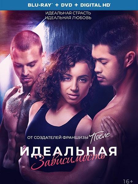 Идеальная зависимость / Perfect Addiction (2023/BDRip/HDRip)