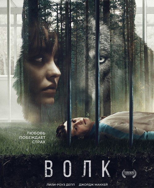 Волк / Wolf (2021/WEB-DL/WEB-DLRip)
