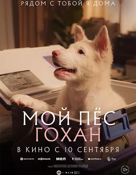 Мой пёс Гохан / Gohan (2026/WEB-DL/WEB-DLRip)
