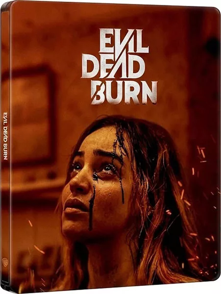 Зловещие мертвецы: Пекло / Evil Dead Burn (2026/BDRip/HDRip)